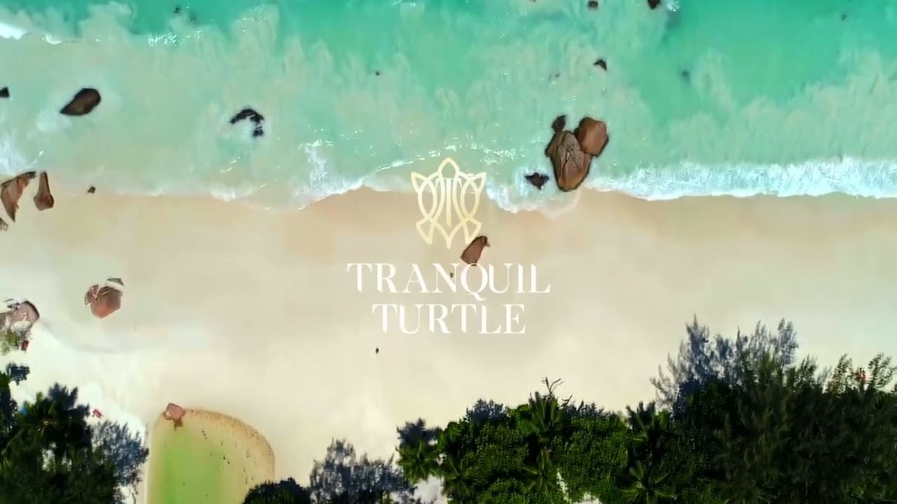 Turtle Bay project still
